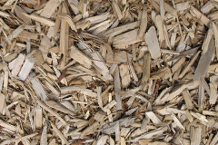 biomass boilers Kettlester